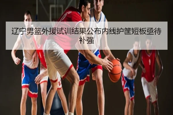辽宁男篮外援试训结果公布内线护筐短板亟待补强