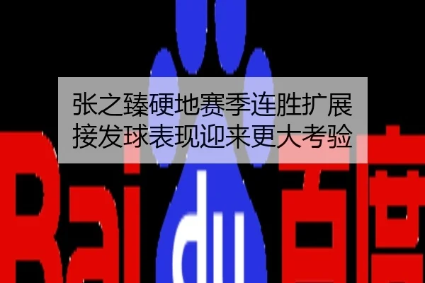 张之臻硬地赛季连胜扩展 接发球表现迎来更大考验